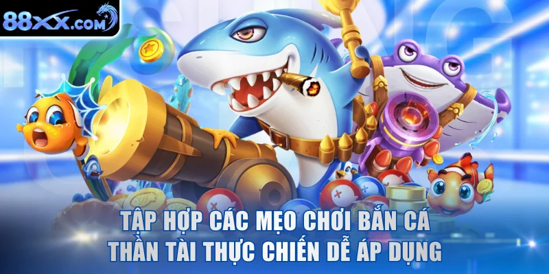 Tập hợp các mẹo chơi thực chiến dễ áp dụng